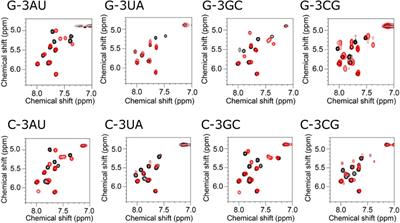 Interaction between a fluoroquinolone derivative KG022 and RNAs: Effect of base pairs 3′ adjacent to the bulged residues